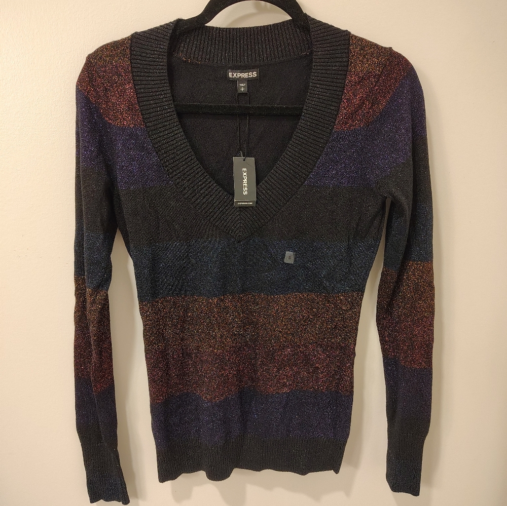 Express V-neck Striped Sweater